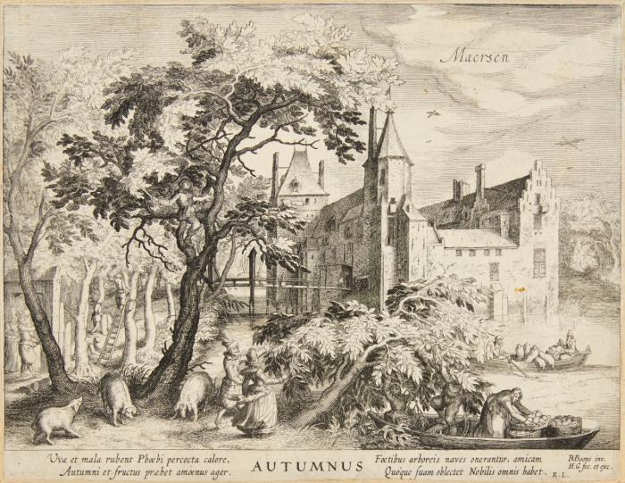 Maersen (Autumnus).