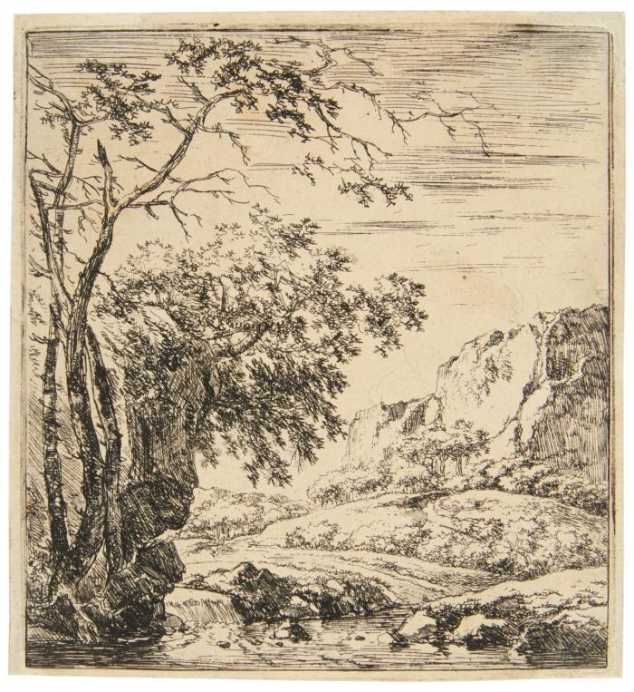 Bäume am Fuß eines Felsens.