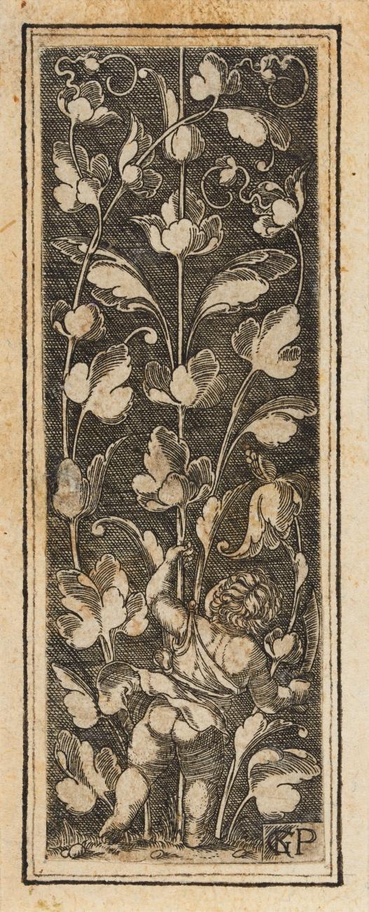 Aufsteigende Ornamentfüllung mit Kind, einen Krummsäbel in der Rechten / Florales Ornament im Rund, 1535.