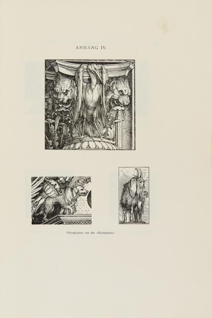 Die Hieroglyphenkunde des Humanismus in der Allegorie der Renaissance besonders der Ehrenpforte Kaisers Maximilian I.