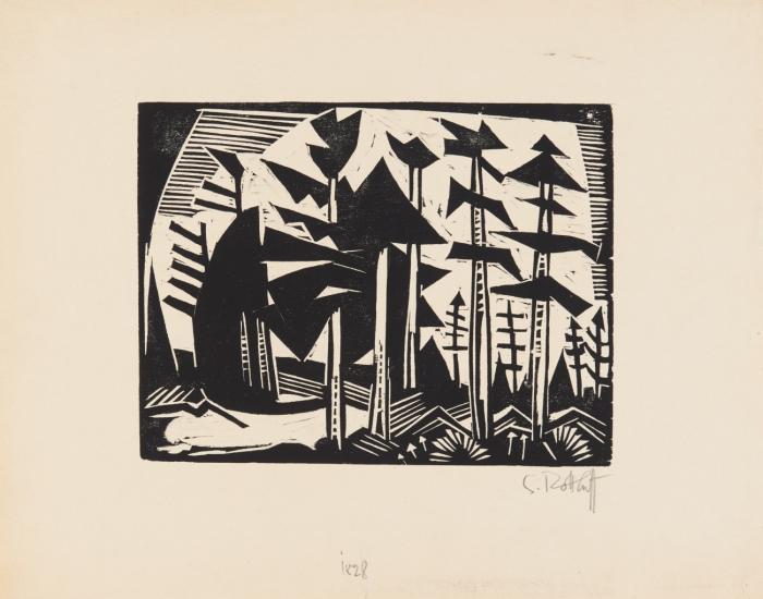 RUSSISCHER WALD