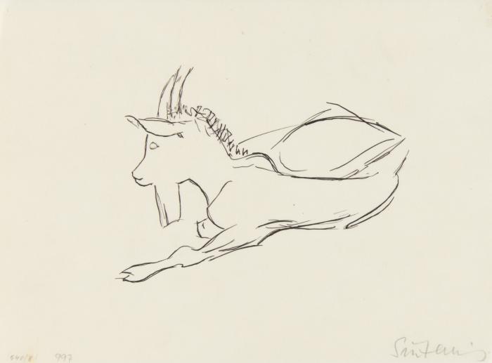 ZIEGE / REHKITZ / ZWEI REHE / FUCHS / PFERD