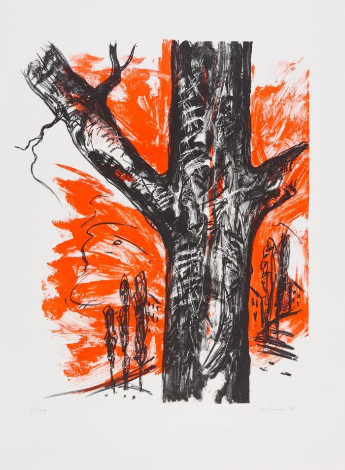 BAUM