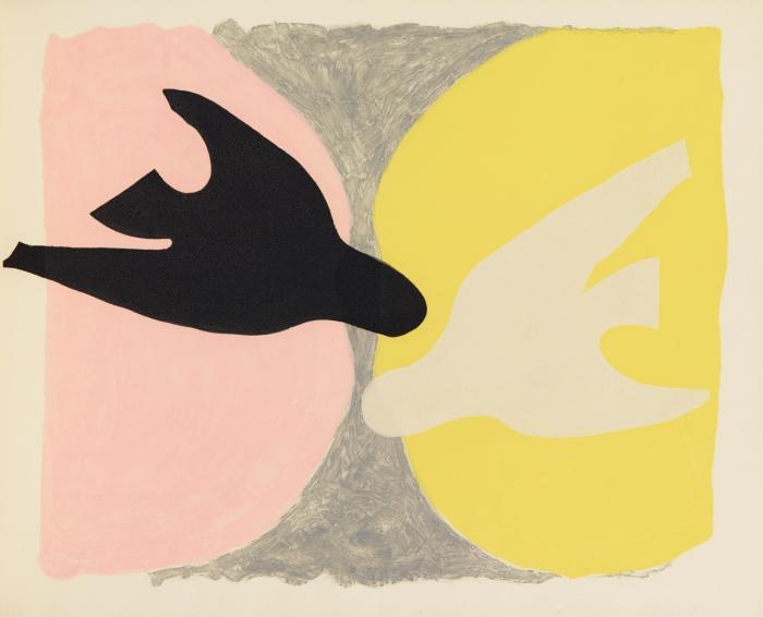 L'Ordre des oiseaux.