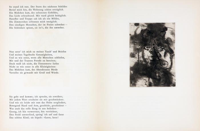 Das Tagebuch. (Hrsg. v. Friedrich Bayl).