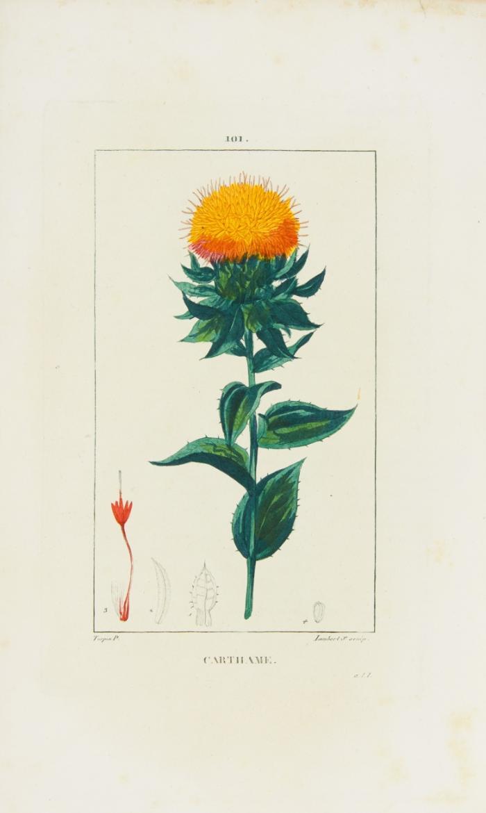 Flore médicale. Nouvelle publication. 6 Bde.