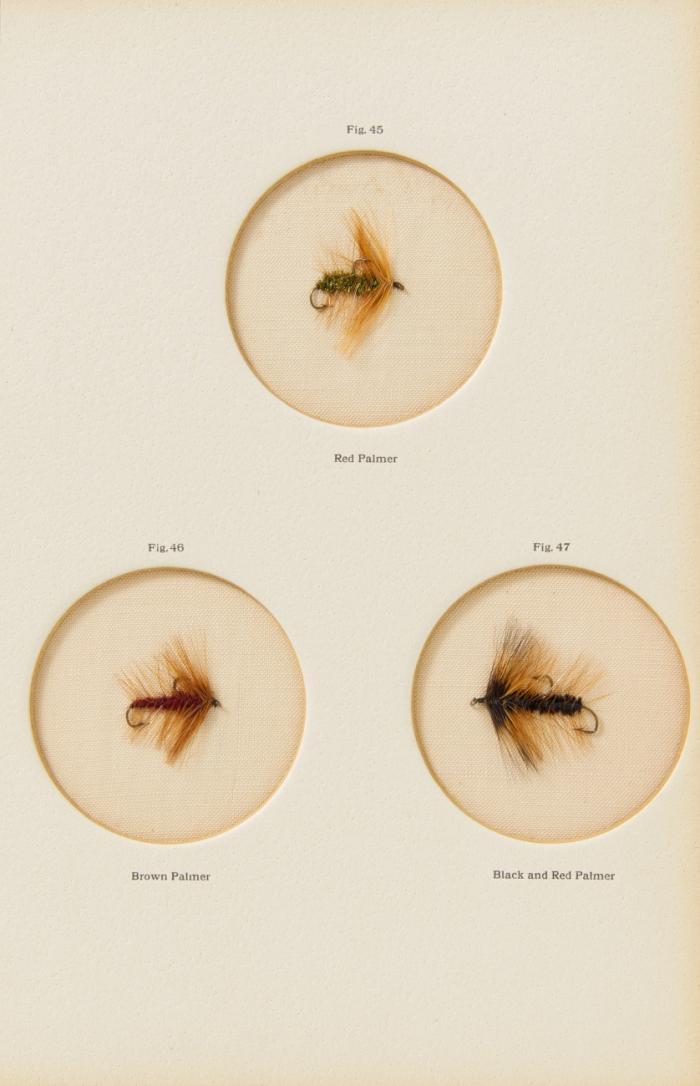 The fly-fisher's entomology. With directions for making the artificial representation of each fly; And a few observations and instuctions on trout and grayling fishing. Introduction by Herbert Maxwell.