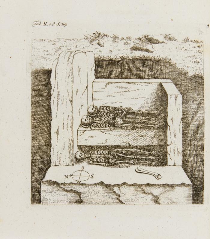 De origine Germanorum eorumque vetustissimis coloniis, migrationibusd ac rebus gestis libri duo.