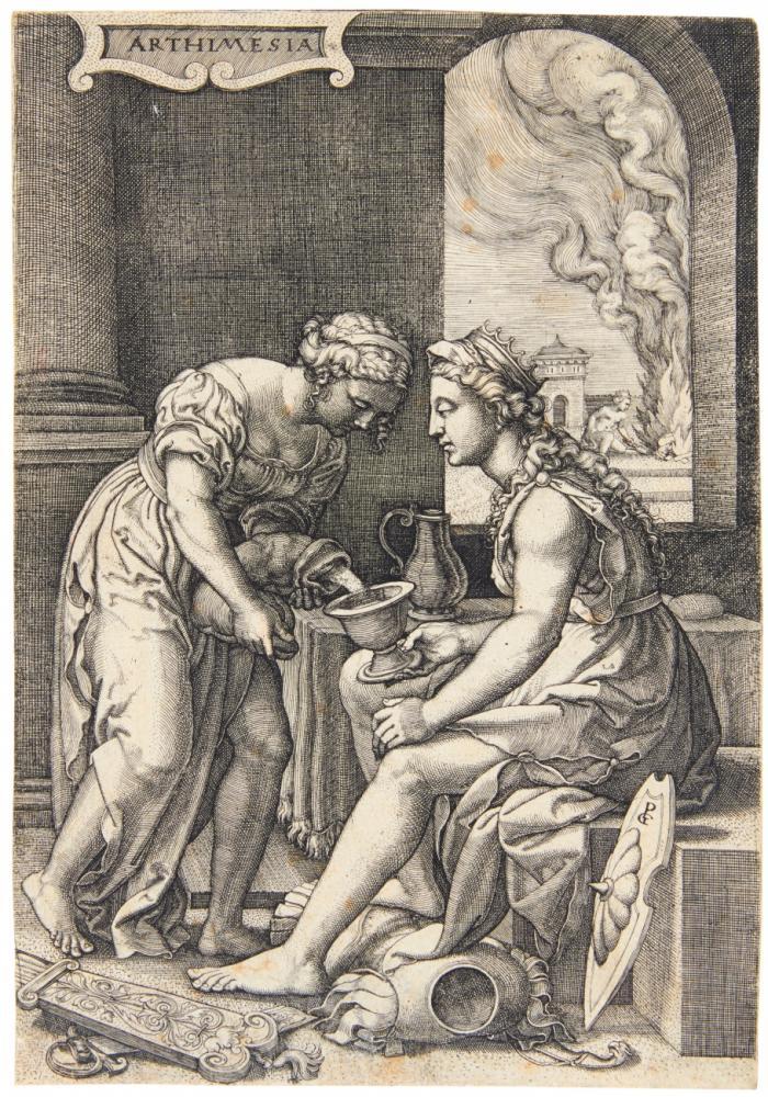 Artemisia.