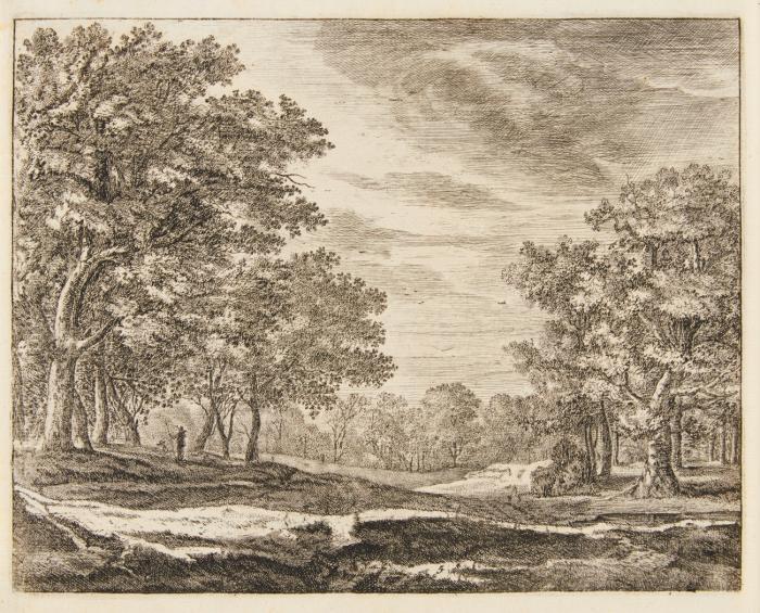 Landschaft im Haagse Bos.