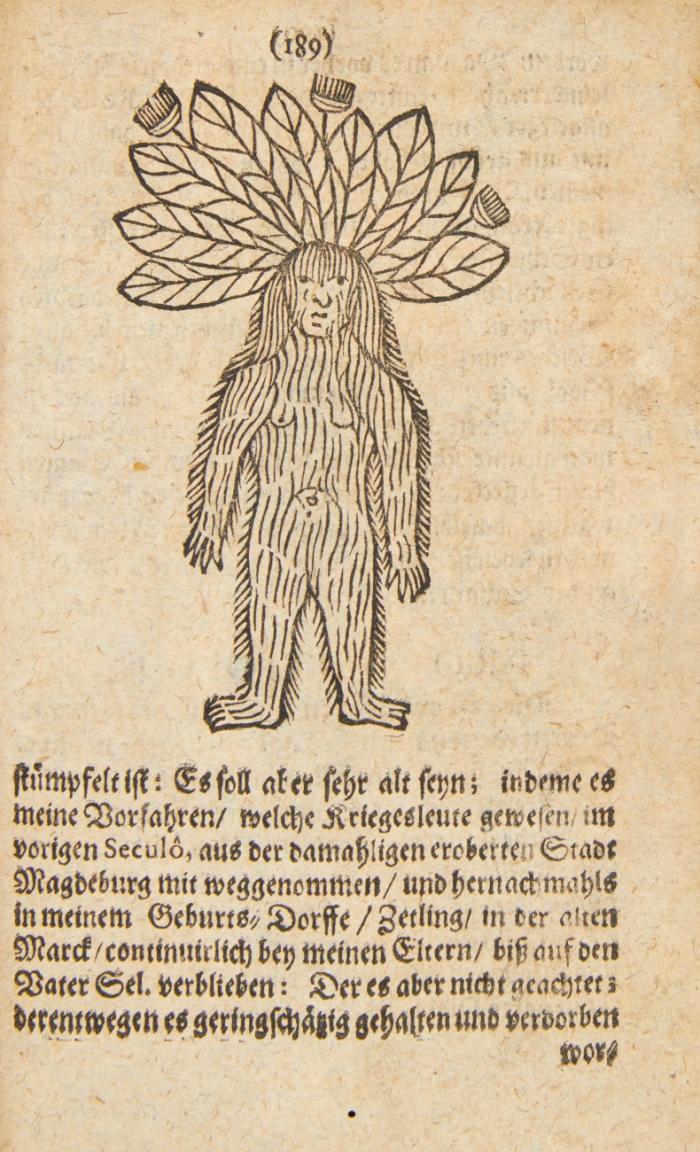 SATURNALIA: Das ist/ Eine Compagnie Weihnachts=Fratzen/ Oder Centner=Lügen/ und possierliche Positiones: Zusammen geleget und auch Wiederleget.