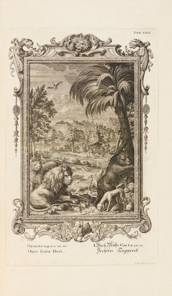 Geestelyke Natuurkunde. Uitgegeveven in de Lytynsche Taale. In't Nederduits vertaald. Versierd met Byschriften in Poezy door G. Tysens.