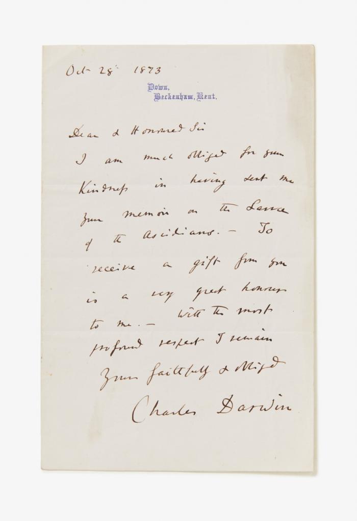 E. Brief m. U.;