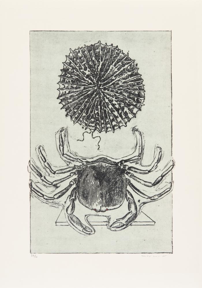 ZU: MAX ERNST, HISTOIRE NATURELLE