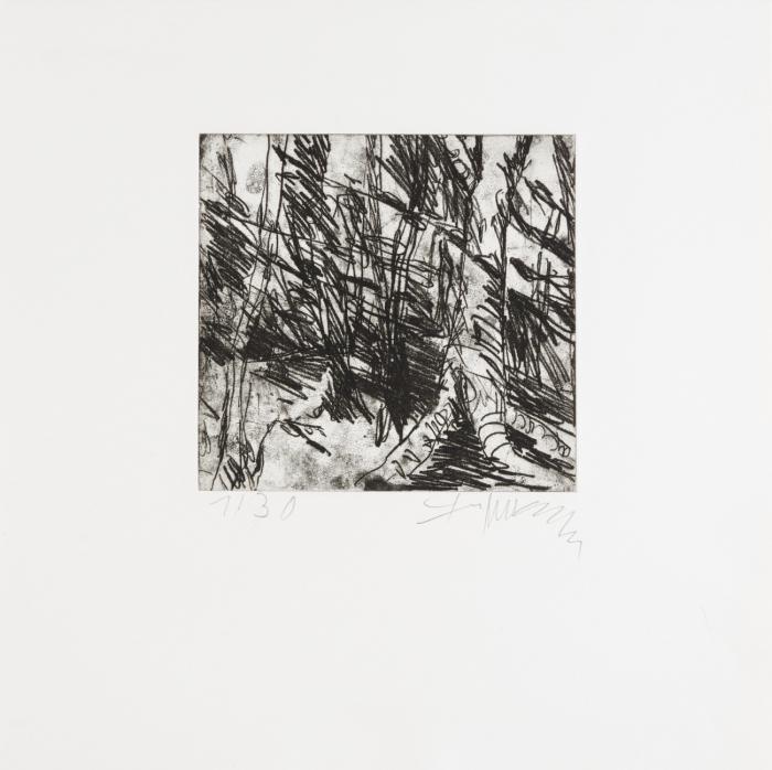 WALDSTIMME (PETER HILLE)