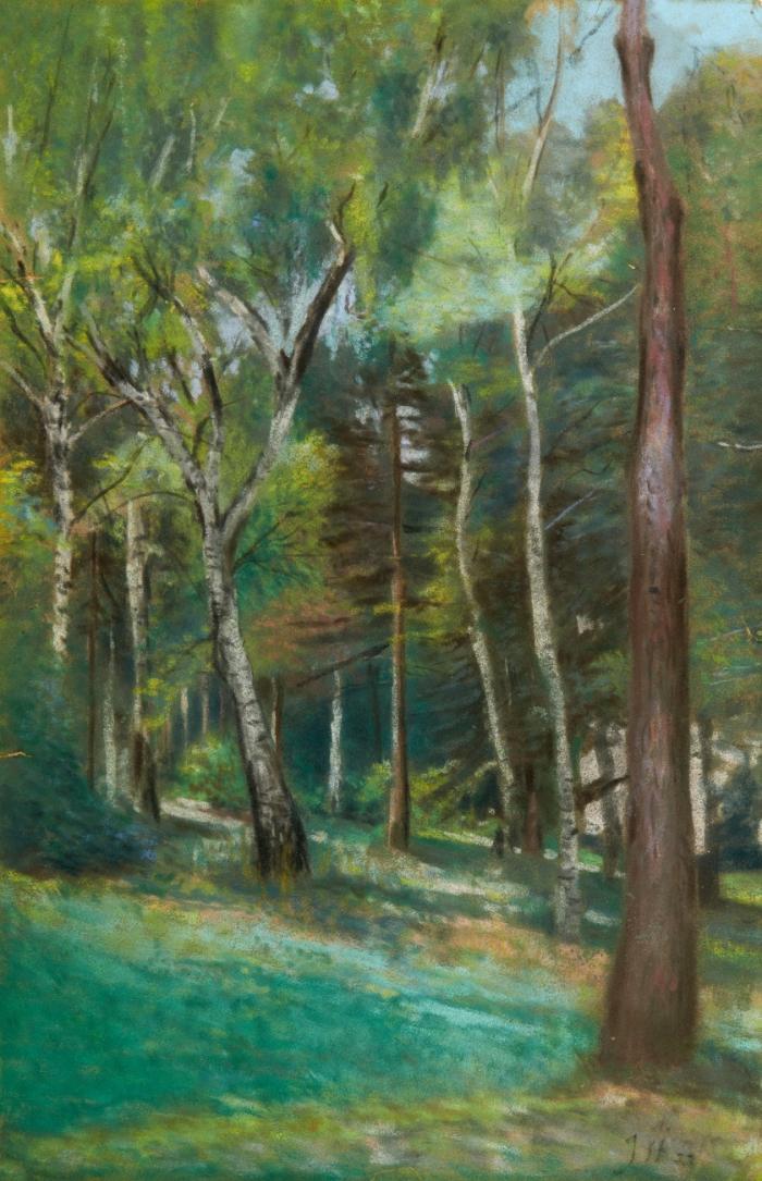 OHNE TITEL (WALDLICHTUNG)