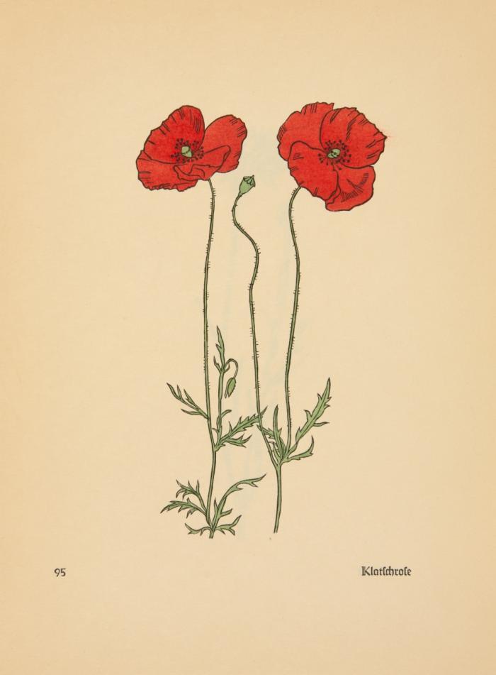 Das Blumenbuch. 3 Bde.