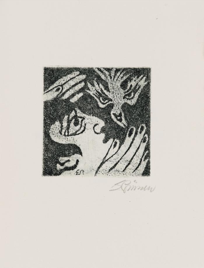 The Raven. Le Corbeau.