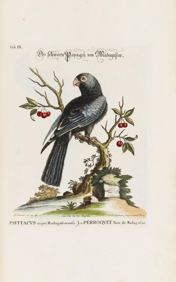 Verzameling van uitlandsche en zeldsaame vogelen, benevens eenige fremde dieren en plantgewassen: in't Engelsch ... beschreeven en naar 't leven, met kleuren afgebeeld door G. Edwards en M. Catesby: Vervolgens ...  verbeterd in 't Hoogduitsch uitgegeven door J. M. Seligmann: Thans in 't Nederduitsch vertaald .... door M Houttuyn. Tle. 1-9 in 5 Bdn.