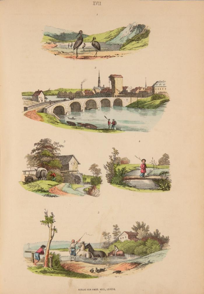 Die Welt in Bildern. Orbis pictus. Bilderbuch zur Anschauung und Belehrung. Fünfte durchgesehene Auflage.  3 in 1 Bd.