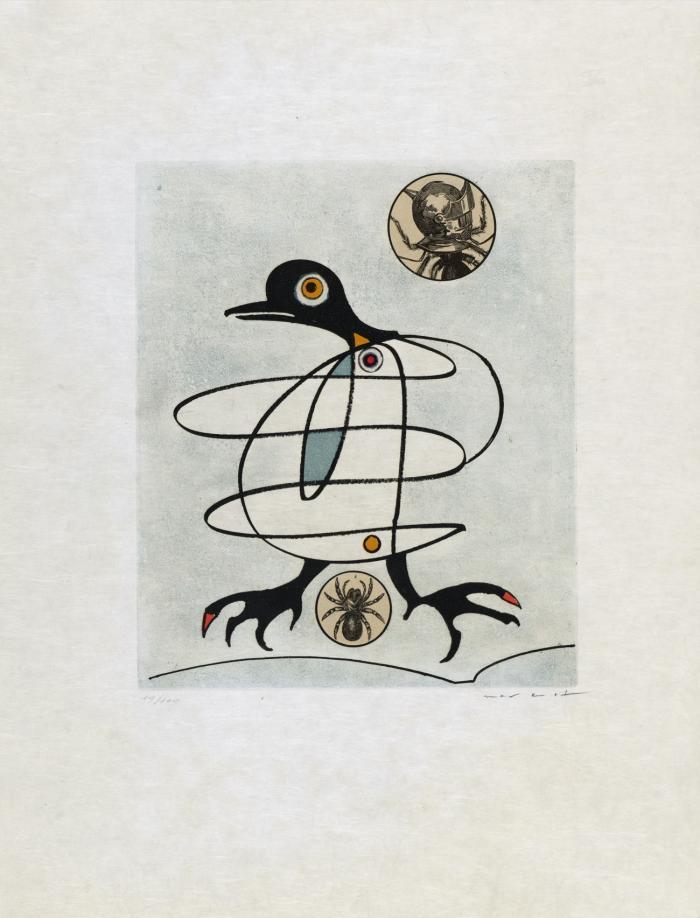 AUS: OISEAUX EN PÉRIL