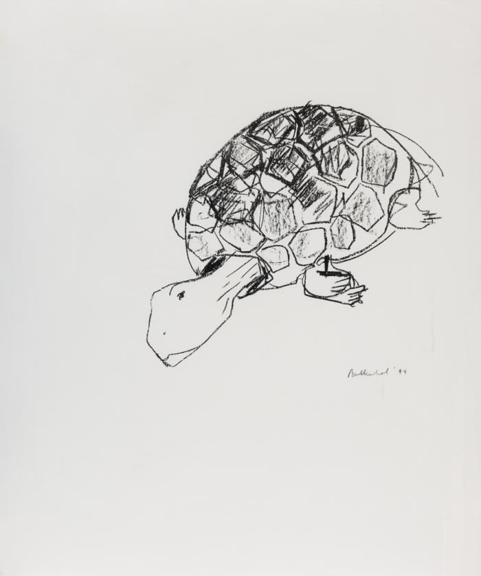 KOPF MIT ZIPFELMÜTZE / SCHILDKRÖTE / VAMPIR