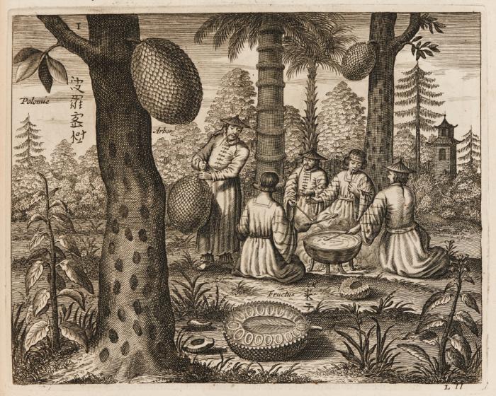 Tooneel van China. door veel... Vertoningen van de Natuur en Kunst... Nieuwelijks in't Latyn beschreven, en van J.H. Glazemaker vertaalt.