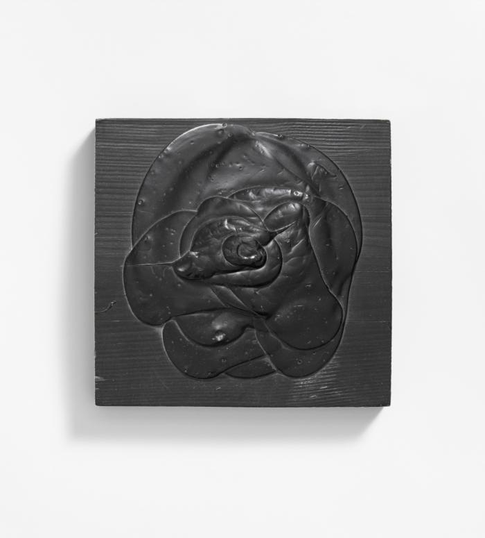 SCHWARZE ROSE