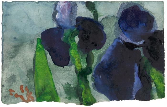 IRIS