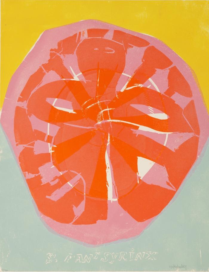 STÄDTISCHES BODENSEE-MUSEUM FRIEDRICHSHAFEN 1968 / ST. PAN'S SYRINX
