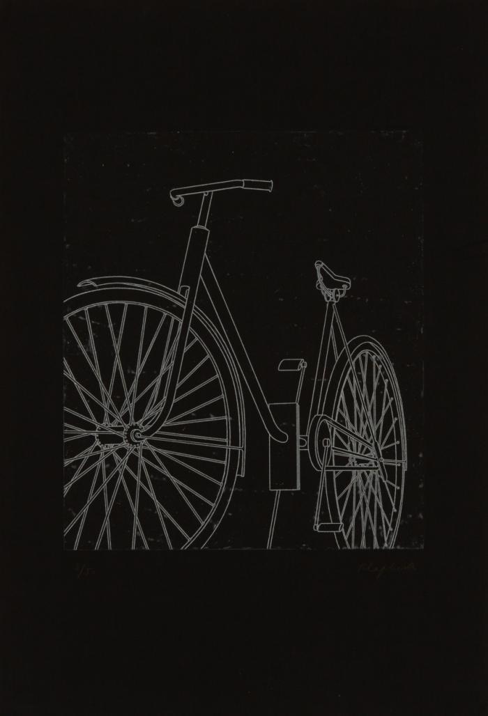 SCHICKSAL (FAHRRAD II)