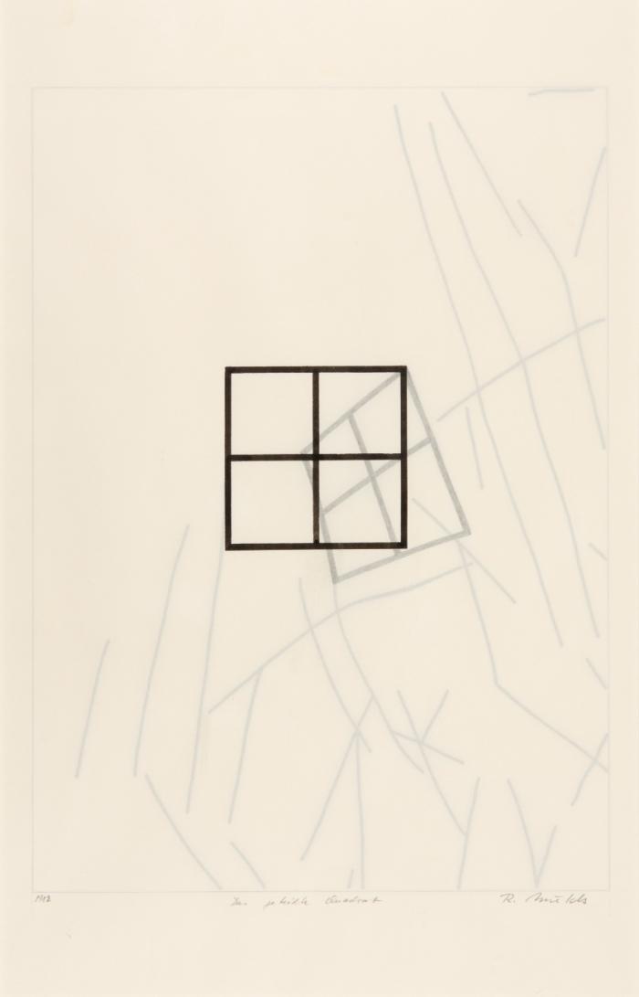 DAS GETEILTE QUADRAT