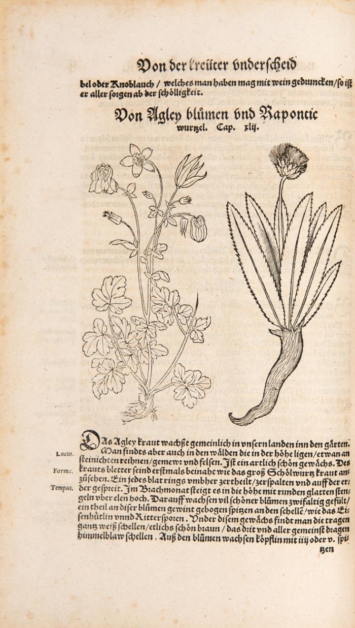 Kreuter Buch. Darinn Vnderscheidt, Namen vnnd Würckung der Kreutter, Stauden, Hecken vnnd Beumen, sampt jhren Fruechten, so inn Deütschen Landen wachsen ... von newem fleissig übersehen, gebessert vnd gemehret.