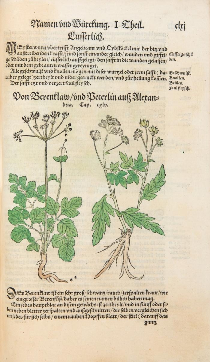Kreutterbuch darin vnderscheidt Name vnnd würckunng der Kreutter, Stauden, Hecken vnd Beumen, sampt jren Fruechten, so inn Teütschen Landen wachsen, Auch derselbigen ... gebrauch inn der Artzney ...