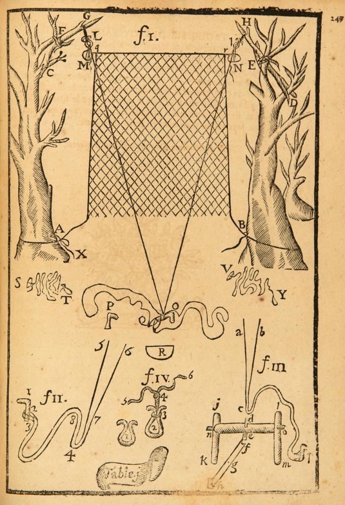 Les ruses innocentes dans lesquelles se voit comment on prend les oyseaux passagers, & les non passagers: & de plusieurs sortes de bêtes à quatre pieds. Avec les plus beaux secrets de la pêche dans les rivieres & dans les estangs. Et un traité très-utile pour la chasse. [3. Aufl.]. 5 Tle. in 1 Bd.