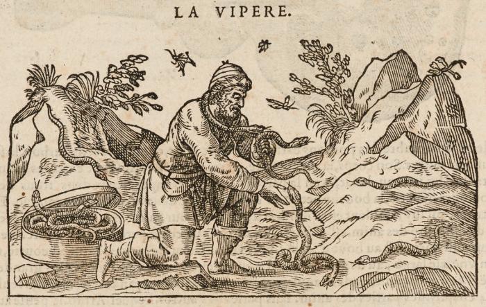 Commentaires sur les six livres de Ped. Dioscor. Anazarbeen de la matière medecinale ... mis en françois sur la derniere edition latine de l'autheur, par M. Ian des Moulins ... Et de nouveau reveuz ...