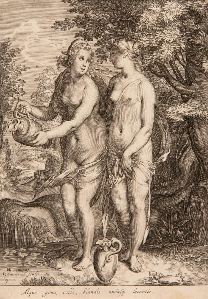 Die Nymphen der Diana.
