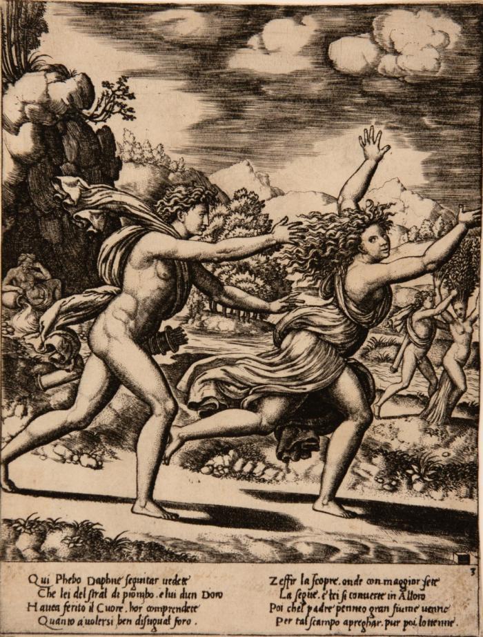 Apollo und Daphne.