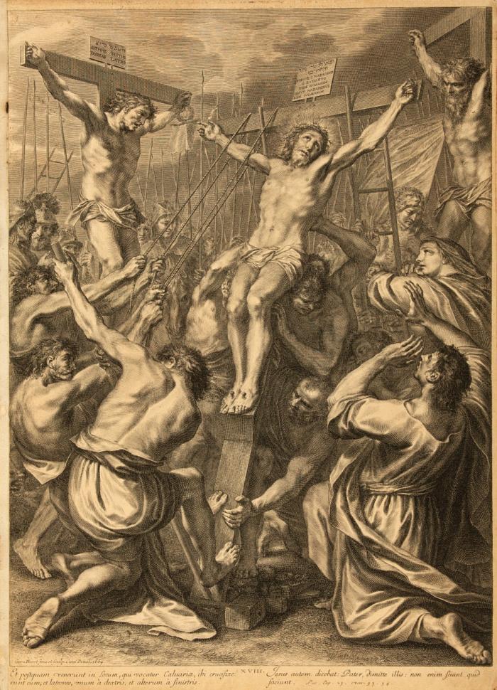 Theatrum dolorum Iesu Christi dei hominis pro hominibus patientis.