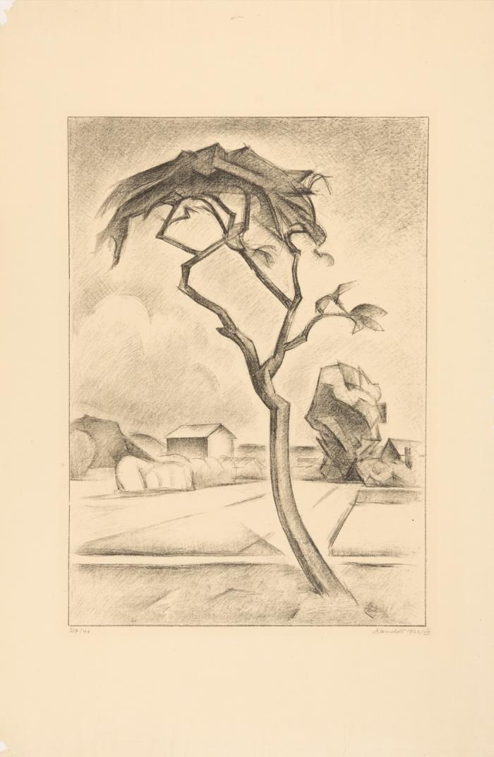DER BAUM