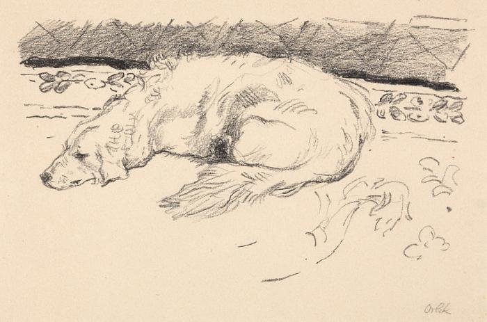 SCHLAFENDER HUND