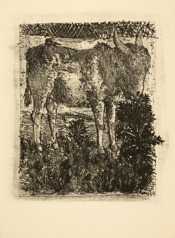 L'ANE (AUS: BUFFON, HISTOIRE NATURELLE)