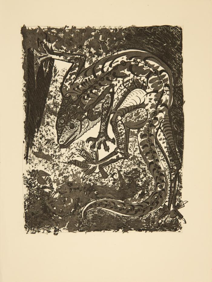 LE LÉZARD (AUS: BUFFON, HISTOIRE NATURELLE)