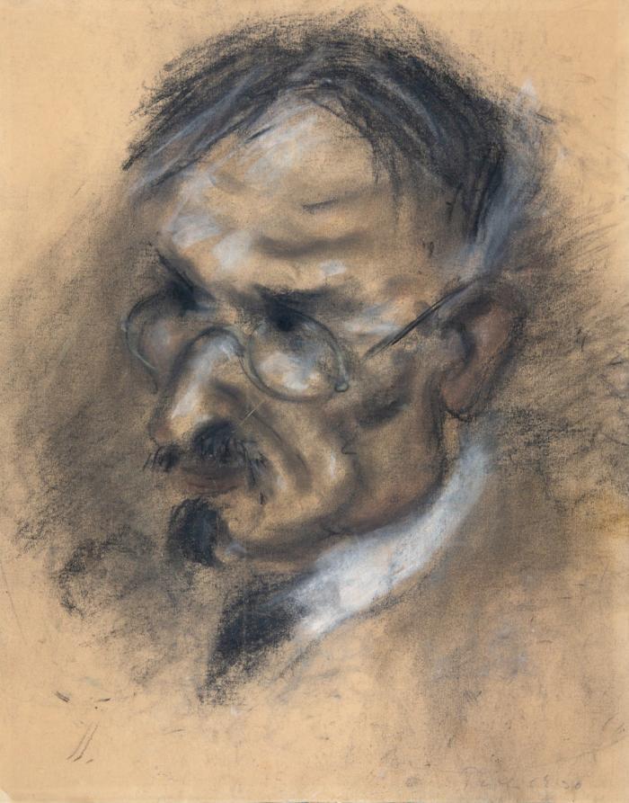 BILDNIS HUGO SCHOTTE