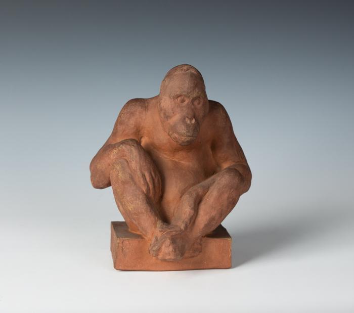 ORANG-UTAN