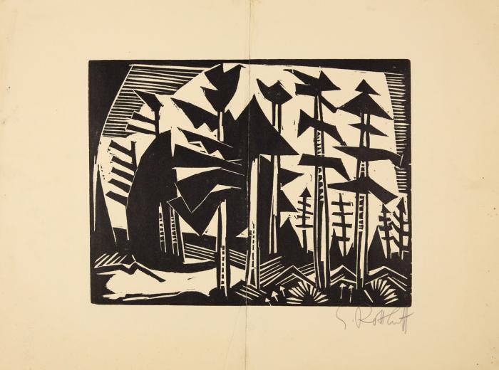 RUSSISCHER WALD