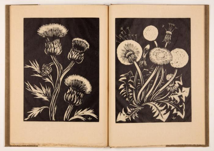 Zu Johann Wolfgang v. Goethes hundertstem Todestag 22. März 1932. (Die Metamorphose der Pflanzen).