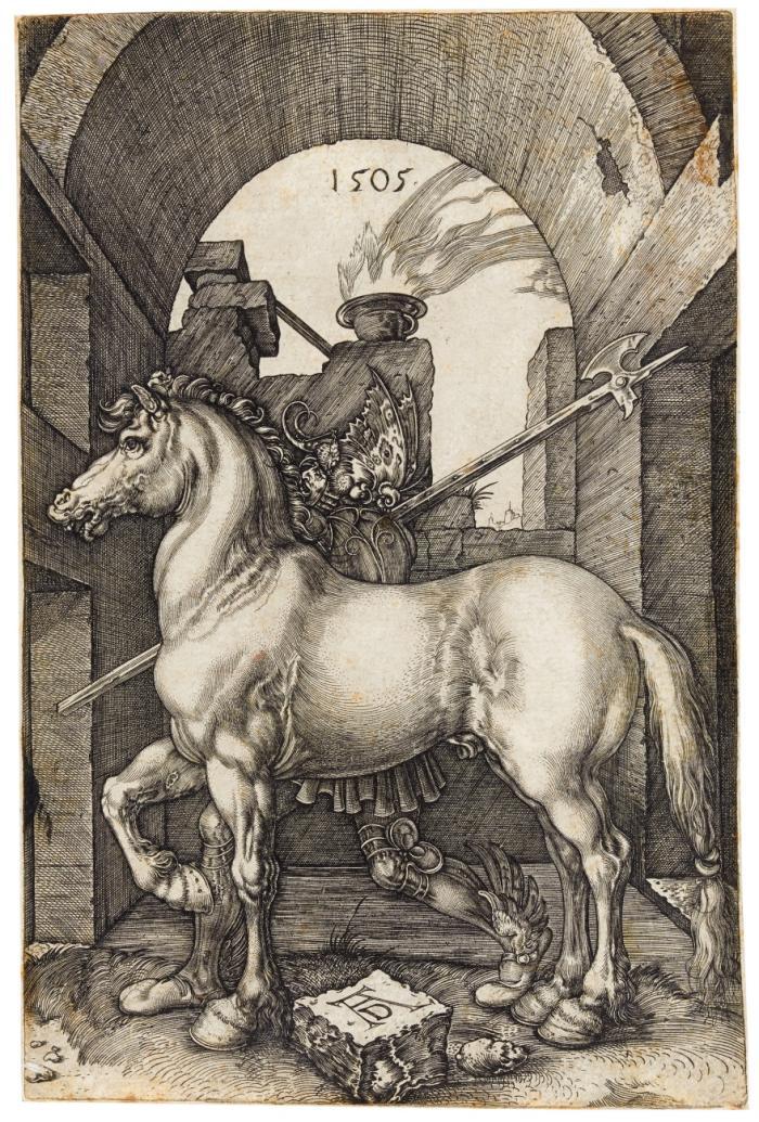 Das kleine Pferd.