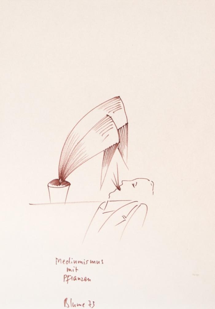 MEDIUMISMUS MIT PFLANZEN 1973 / IDEO-PLASTIE 1974