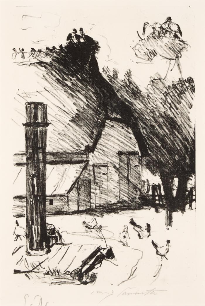 Bauernhof mit Storchennest